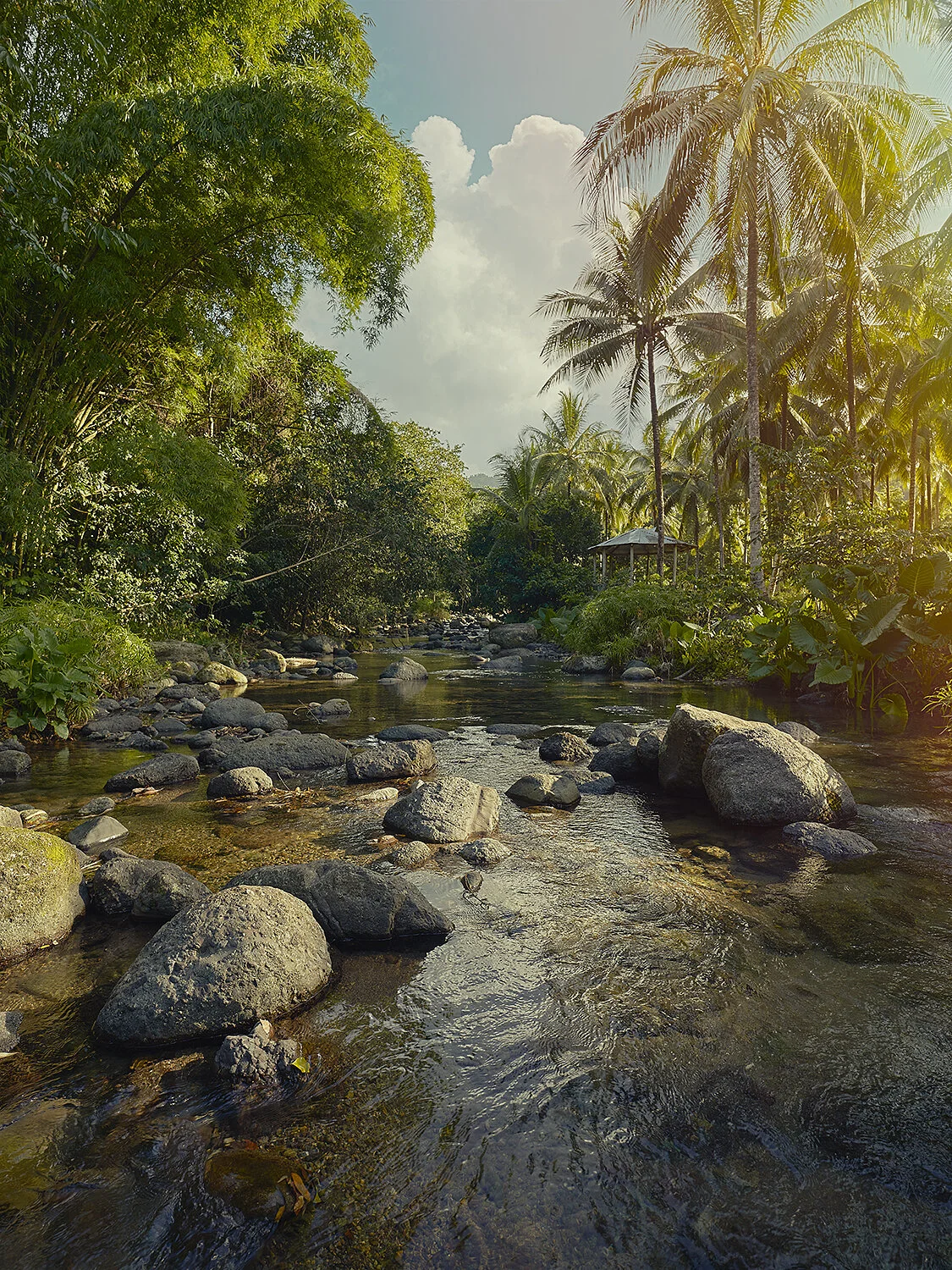Dunn's River Sunrise Climb